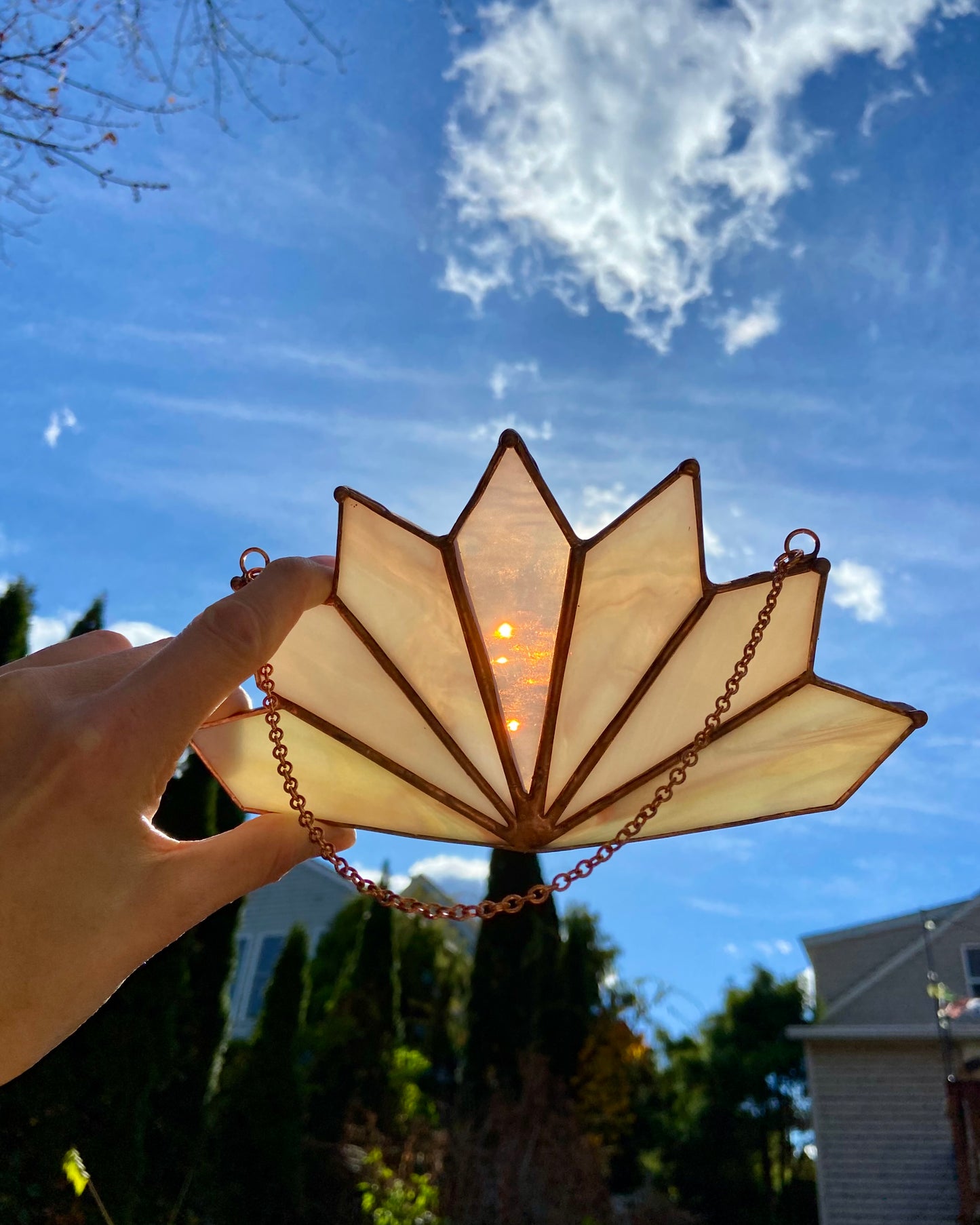 Blush Lotus Suncatcher #1