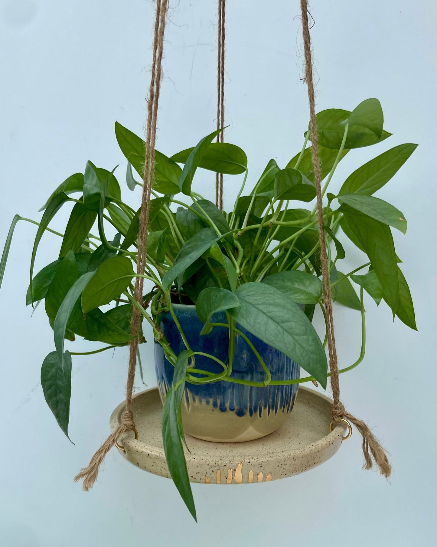 Hanging Plant Tray