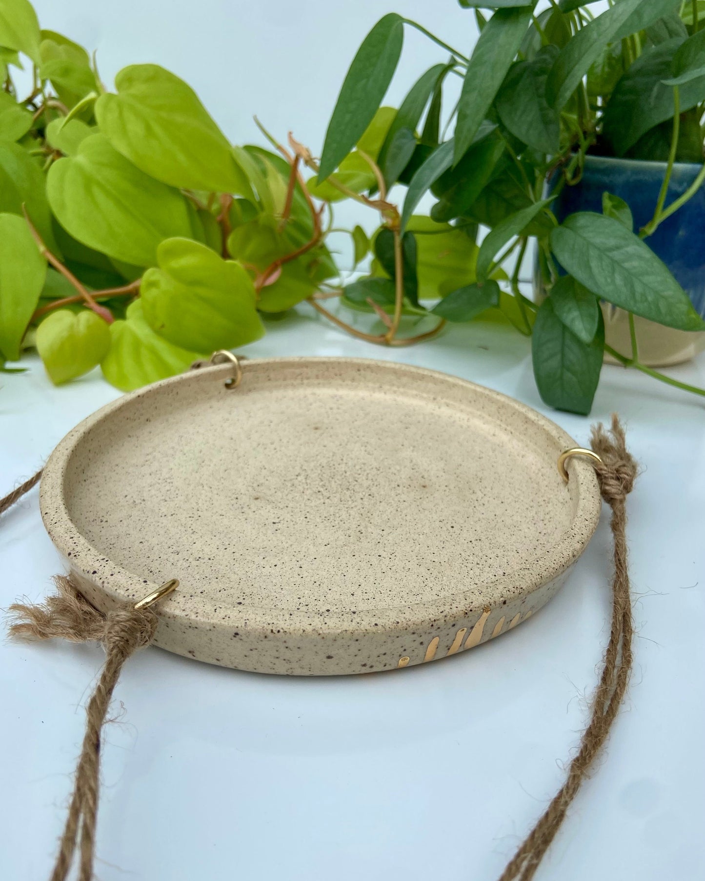 Hanging Plant Tray