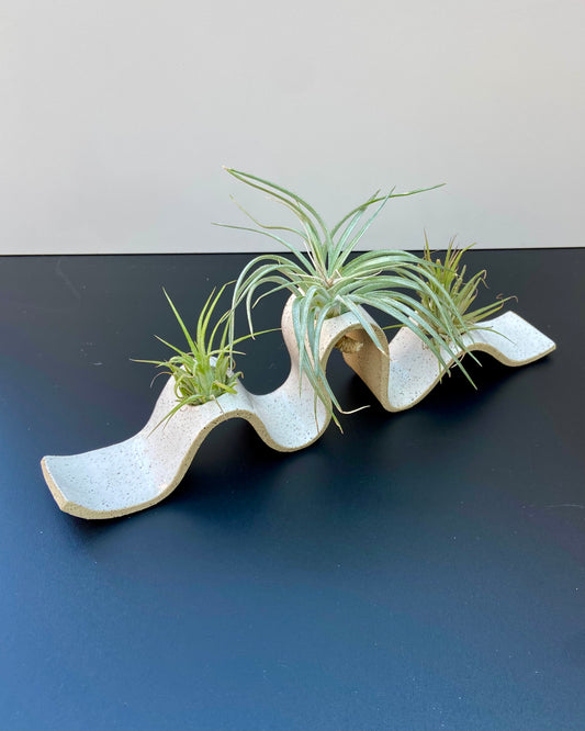 Wavy Air Plant Holder - Glossy white