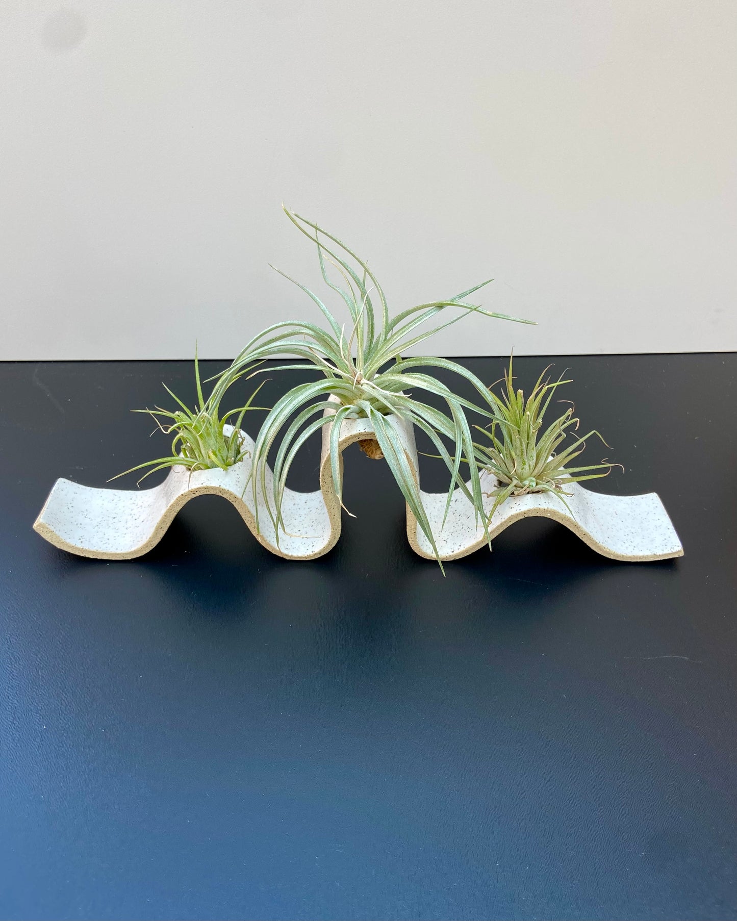 Wavy Air Plant Holder - Glossy white