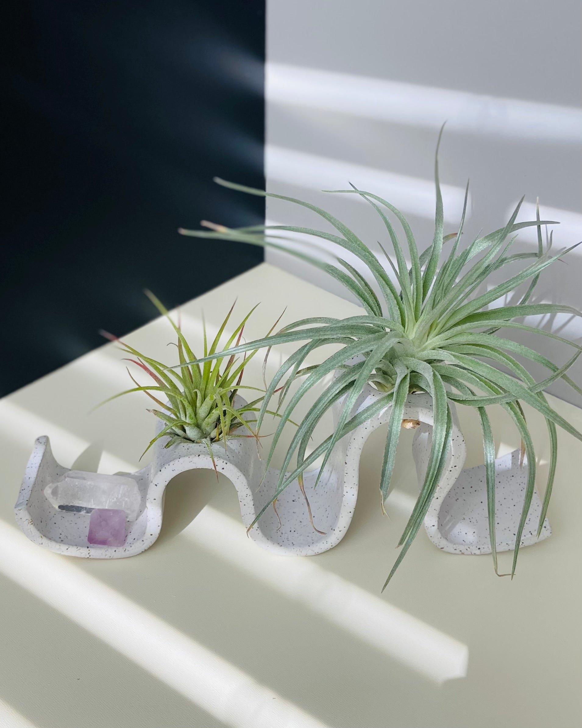 Ceramic air plant holder, white, wavy